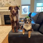 Jill Huffman - Facebook