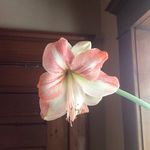 Jill Huffman Carson - @jillhuffmancarson - Instagram