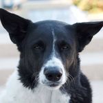Jill Irvin - @enviroj80 - Instagram