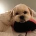 Jill Ivers - Facebook