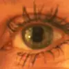 Jill Ivers Sugie - @jill.ivers.sugie - TikTok