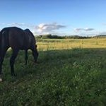 Jill Iversen - @jilliversen - Instagram
