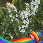Jill Jeffers - @jill.jeffers.758 - Instagram