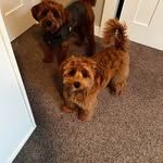 Jill Kelleher - @jjkelleher - Instagram