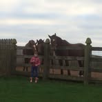 Jill Kelso - Facebook