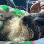 Jill Kempf - @jmakempf - Instagram