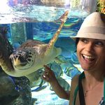 Jill Kent Gray - @jillkentgray - Instagram