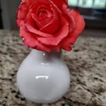 Brenda Jill Kiser Stubbs - @brendajillkiser - Instagram