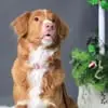 Jill Kiser - @jill.kiser6 - TikTok