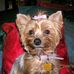 Jill Kiser-Roeth - Facebook
