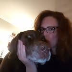 Jill Kitchens - @jkitch1971 - Instagram