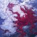 Jillian Paige Kitterman - Facebook