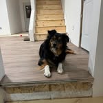 Jill Koski Wold - @jill_wold - Instagram