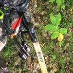 Jill Krieger - @46mutt - Instagram