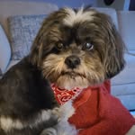 Jill Stigman Kruger - @jillkruger1 - Instagram