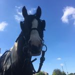 Jill Lancaster - @lancaster963 - Instagram