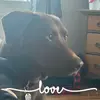 jillalancaster - @jillalancaster - TikTok
