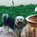 Jill Landers - @llij333 - Instagram