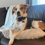 Jill Langley-Suprun - @jmsuprun - Instagram