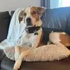 jilllangleysuprun - @jill.langleysupru - TikTok