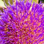 Jill Langston - @jilllangston67 - Instagram