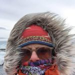 Jill Langston - @jlangston3 - Instagram