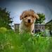 Jill Lanham - Facebook