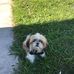 Jill Larimore - Facebook