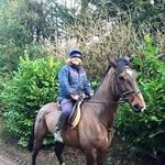 Jill Last - @lastjill - Instagram