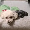 jillslayton - @jillslayton - TikTok