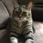 Jill Leach - @jilleleach - Instagram