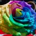 Jill Lederer - Facebook