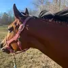 Jill Leon - @sbmom16 - TikTok