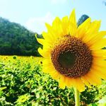 Jill Leong - @jillleong - Instagram