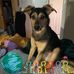 Jill Lindstedt - Facebook