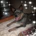 Jill Lindquist - Facebook