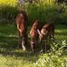 Jill Lindquist - Facebook