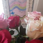 Jill Locke - @biblestudygirl365 - Instagram