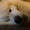 Jillian Loftus - @itsblue51 - TikTok