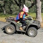 Jill Lundin - @inorbitla - Instagram