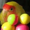 jilllytle - @jilllytle - TikTok