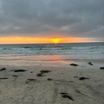 Jill Macleod - @jmacleod2 - Instagram