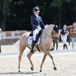 Jillz✨Starlight✨Ivanhoo✨Maddox - @morgan_jillz_dressage - Instagram