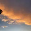 jillian_madrid - @jillian_madrid - TikTok