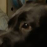 Jill Marble - @jill.marble.73 - Instagram
