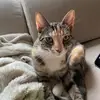 Jill B - @jillmarch27 - TikTok