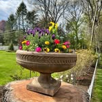 Jill & Mark - 178 Eileen - @colonialhillsnews - Instagram