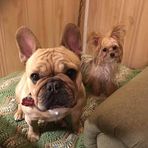 Jill Martz - Facebook
