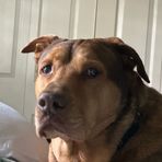 Jill Martz Boehm - Facebook