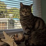 Jill Mayes - @sgj3848 - Instagram
